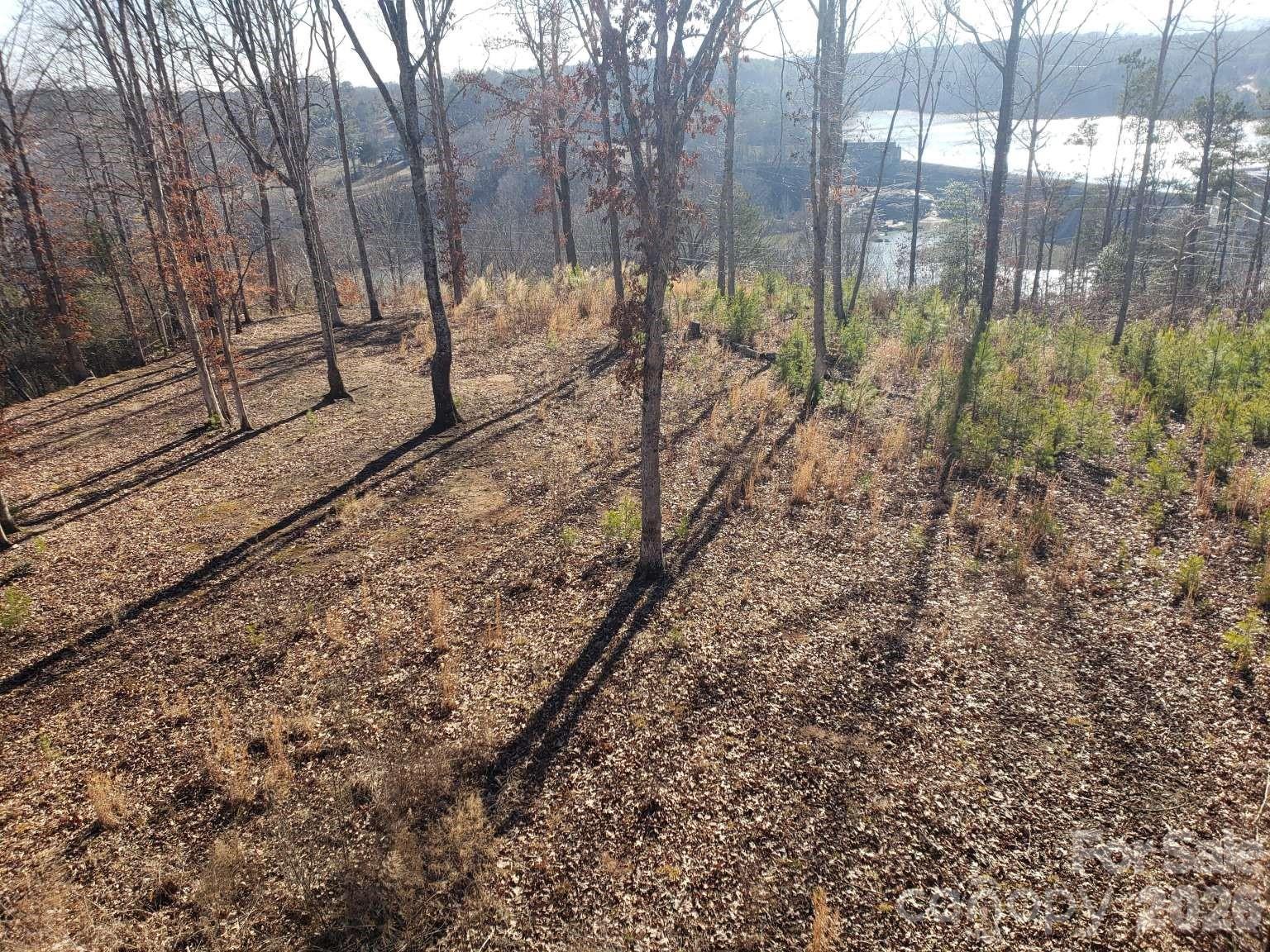 0 Powerhouse Road Granite Falls, NC 28630 - Photo 5 of 5 a view of a yard with trees