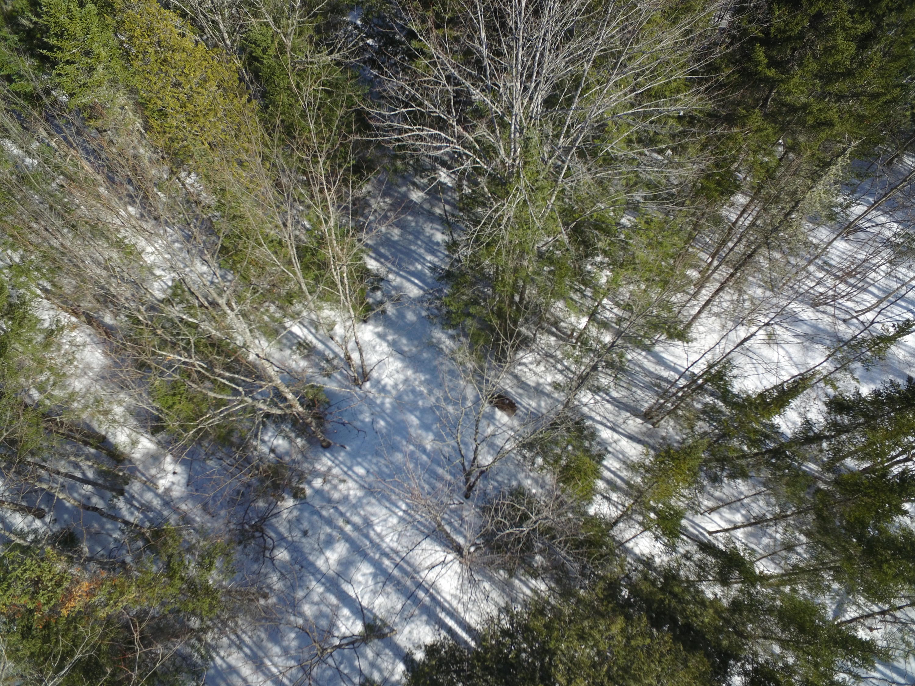 Tbd Main Road Passadumkeag, ME 04475 - Photo 2 of 7 DJI_0365