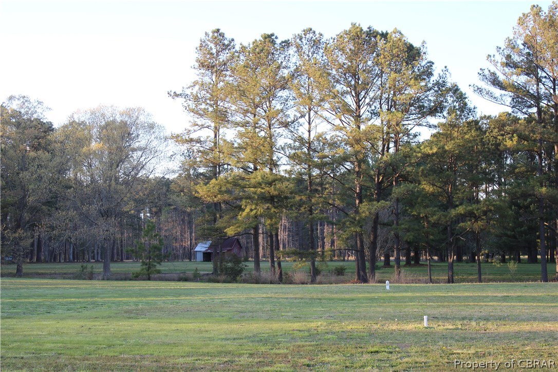 925 Tick Neck Road Cardinal, VA 23025 - Photo 19 of 20
