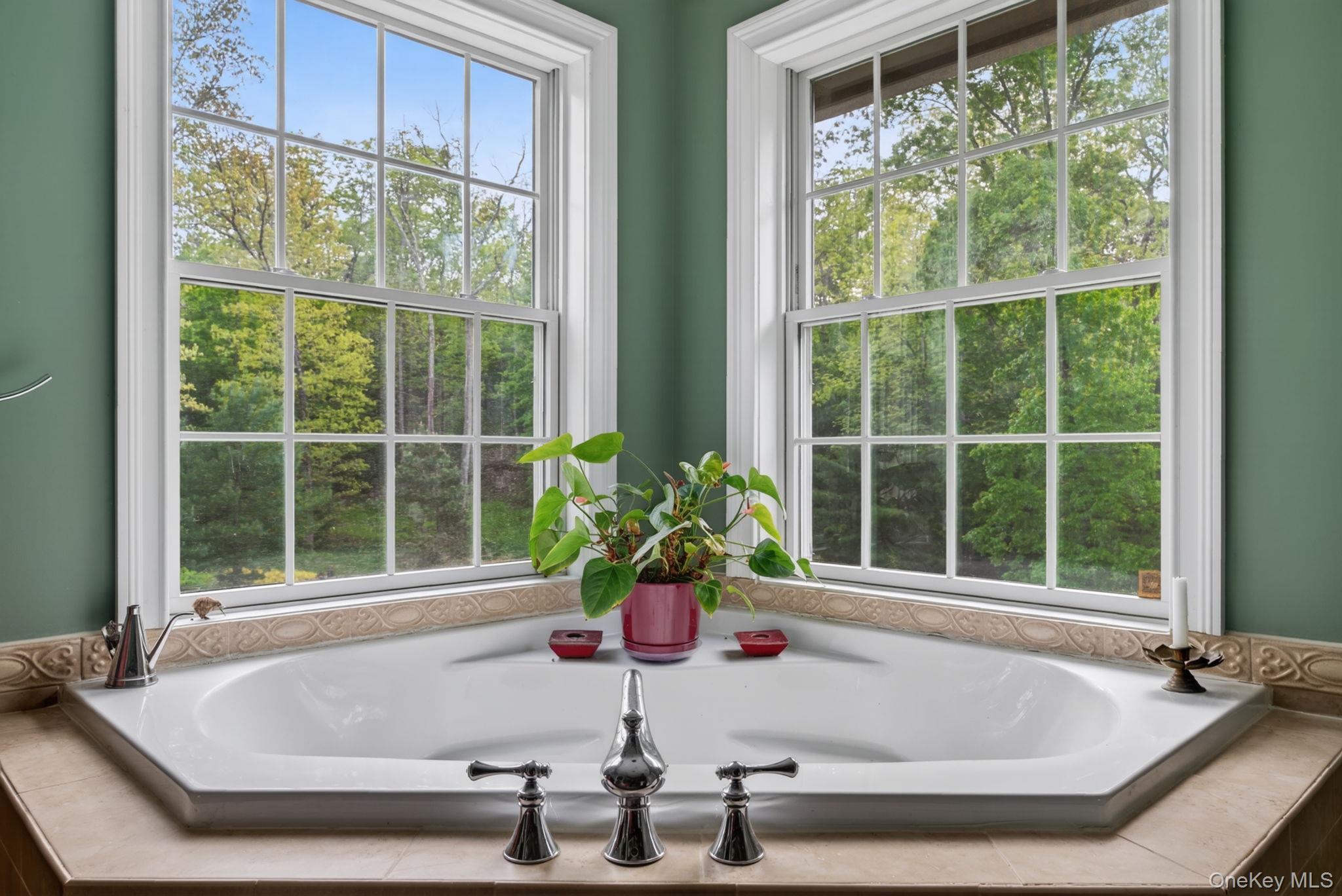 189 Bush Road Stone Ridge, NY 12484 - Photo 23 of 49 a bath tub sitting in front of a window