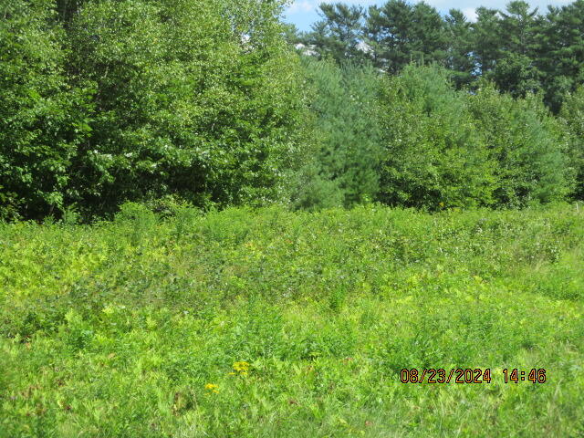 0 Storer Road Brunswick, ME 04011 - Photo 8 of 8 IMG_5661