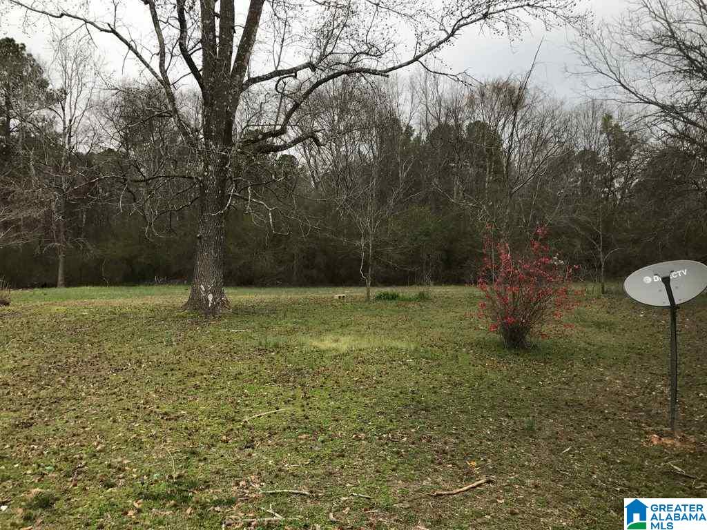 14941 Highway 160 Cleveland, AL 35049 - Photo 3 of 13