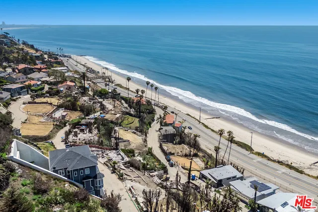 a view of ocean with a palm tree