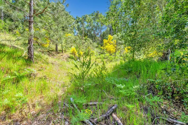 $185,000 | 0 Zayante School, Felton, CA 95018