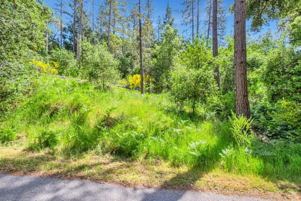 $185,000 | 0 Zayante School, Felton, CA 95018