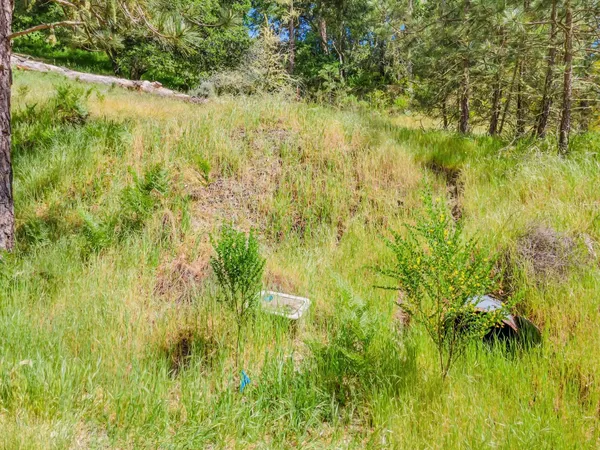 $185,000 | 0 Zayante School, Felton, CA 95018