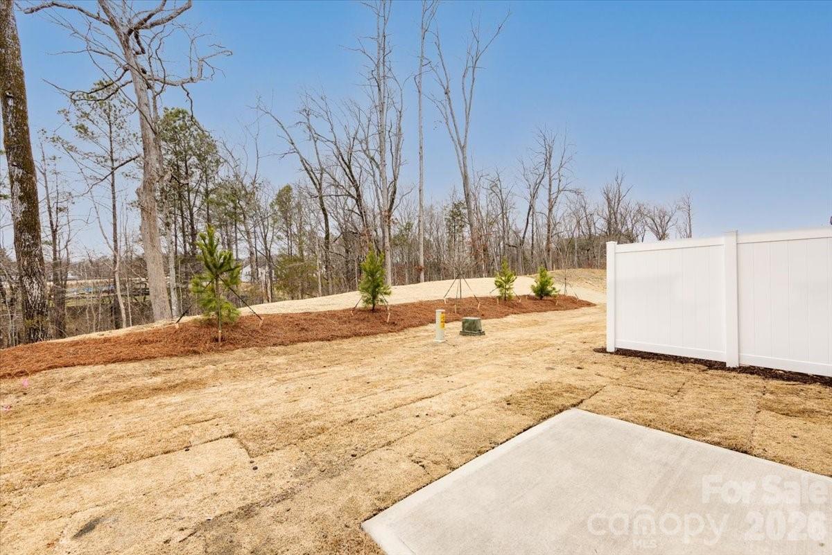 147 Landy Street Fort Mill, SC 29715 - Photo 33 of 34