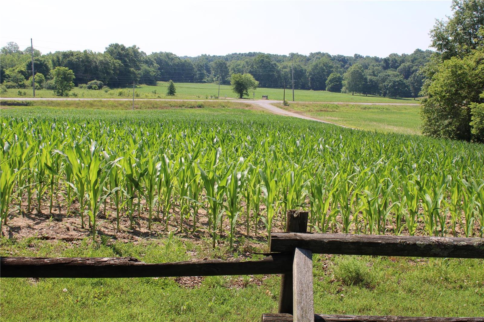 3985 State Rte 150 Chester, IL 62233 - Photo 71 of 99