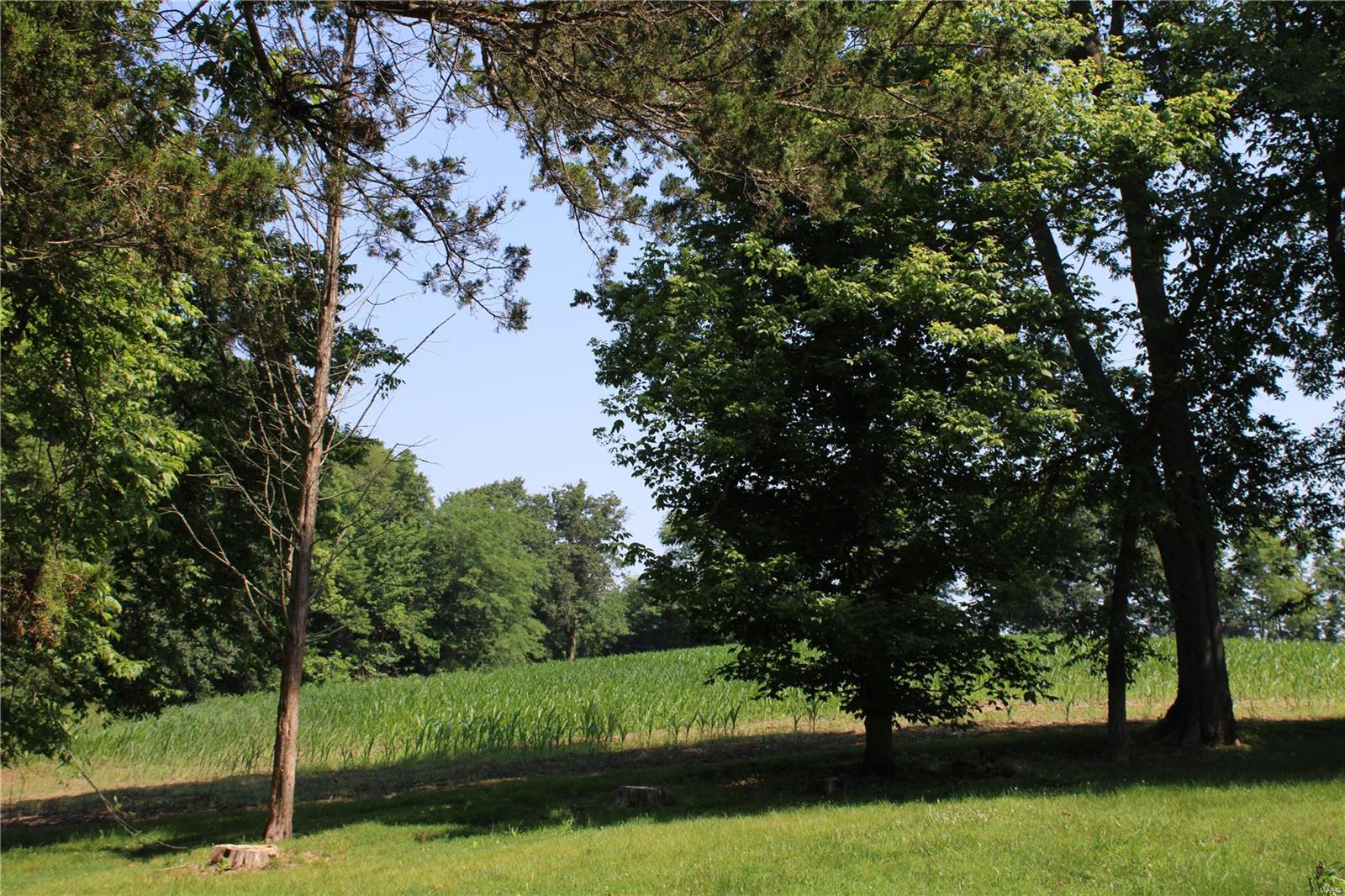 3985 State Rte 150 Chester, IL 62233 - Photo 95 of 99