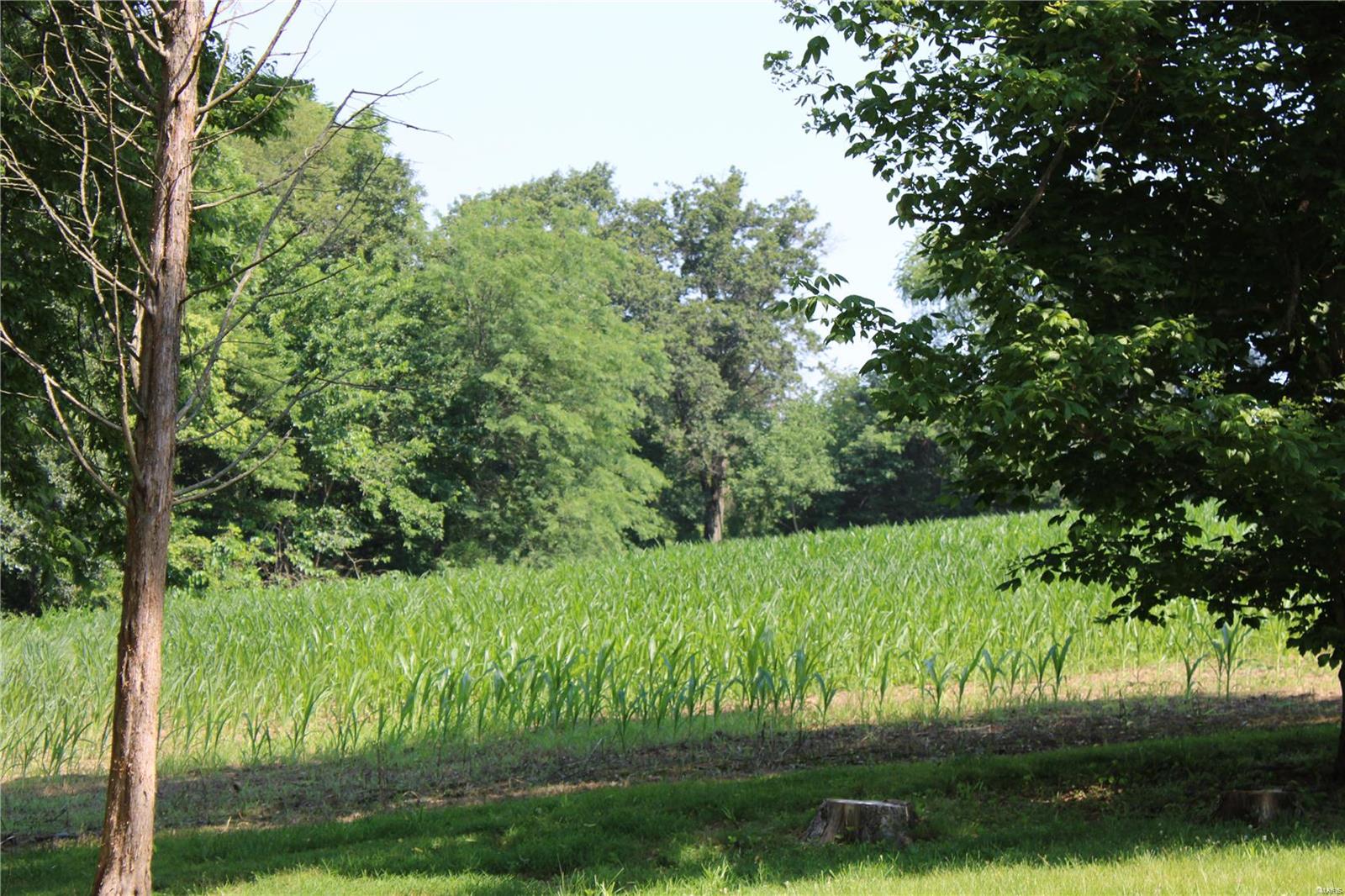 3985 State Rte 150 Chester, IL 62233 - Photo 96 of 99