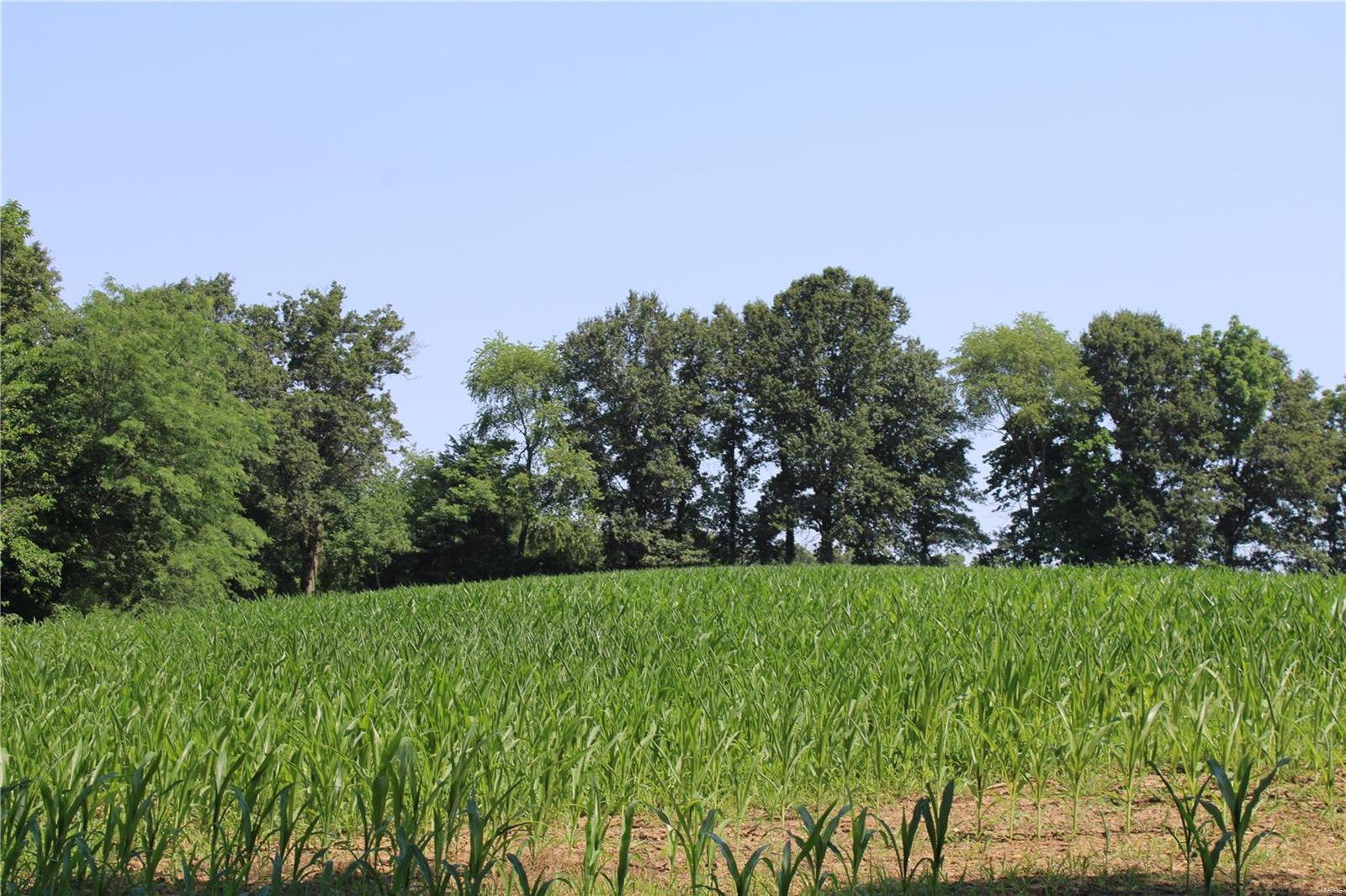 3985 State Rte 150 Chester, IL 62233 - Photo 98 of 99