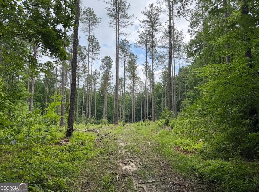 0 Mt Sinai Road, Unit LOT 1 Lula, GA 30554 - Photo 55 of 67