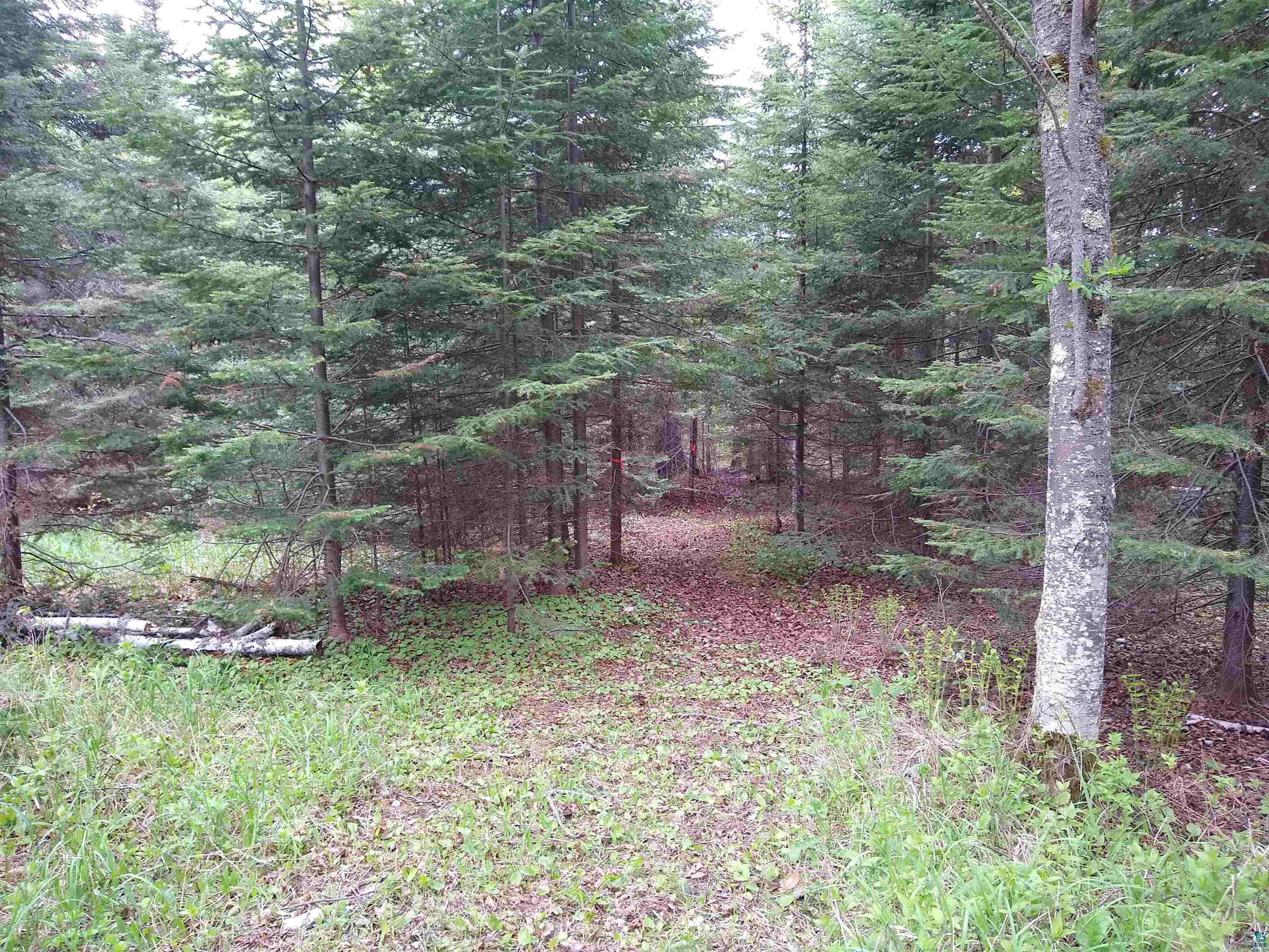 886-xx Bark Point Road Herbster, WI 54844 - Photo 11 of 24 Gallery Image 11