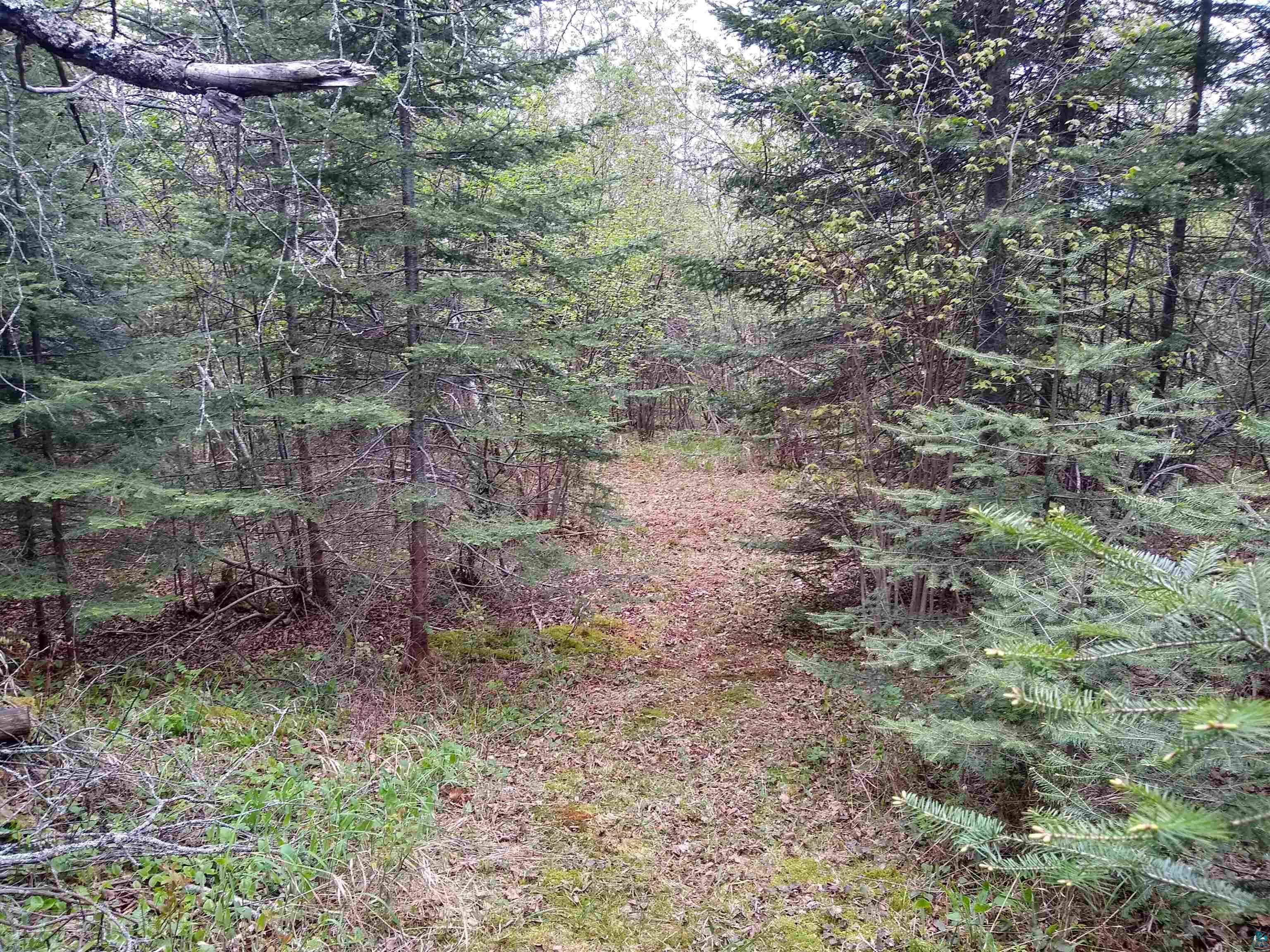 886-xx Bark Point Road Herbster, WI 54844 - Photo 13 of 24 Gallery Image 13