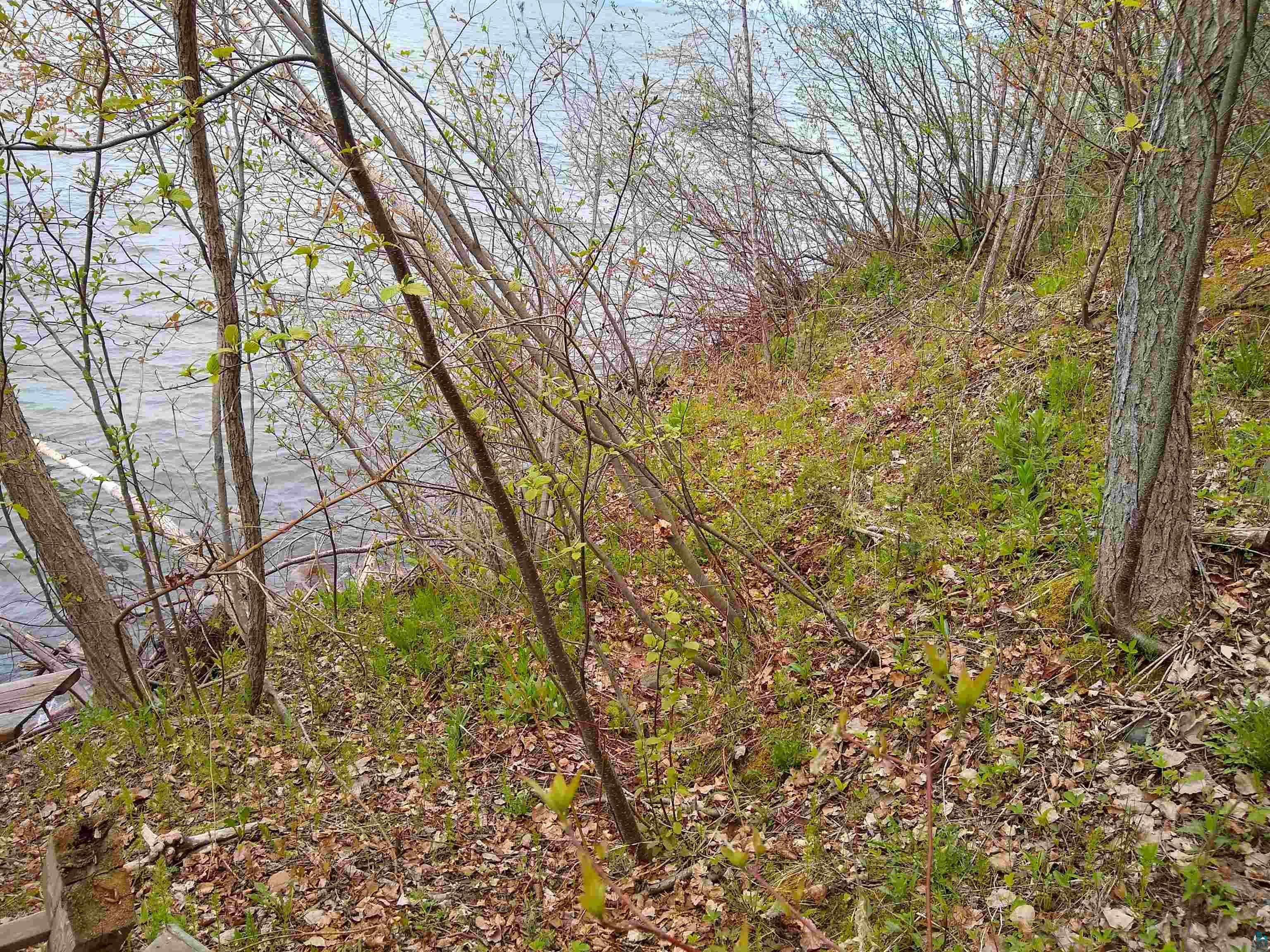 886-xx Bark Point Road Herbster, WI 54844 - Photo 17 of 24 Gallery Image 17