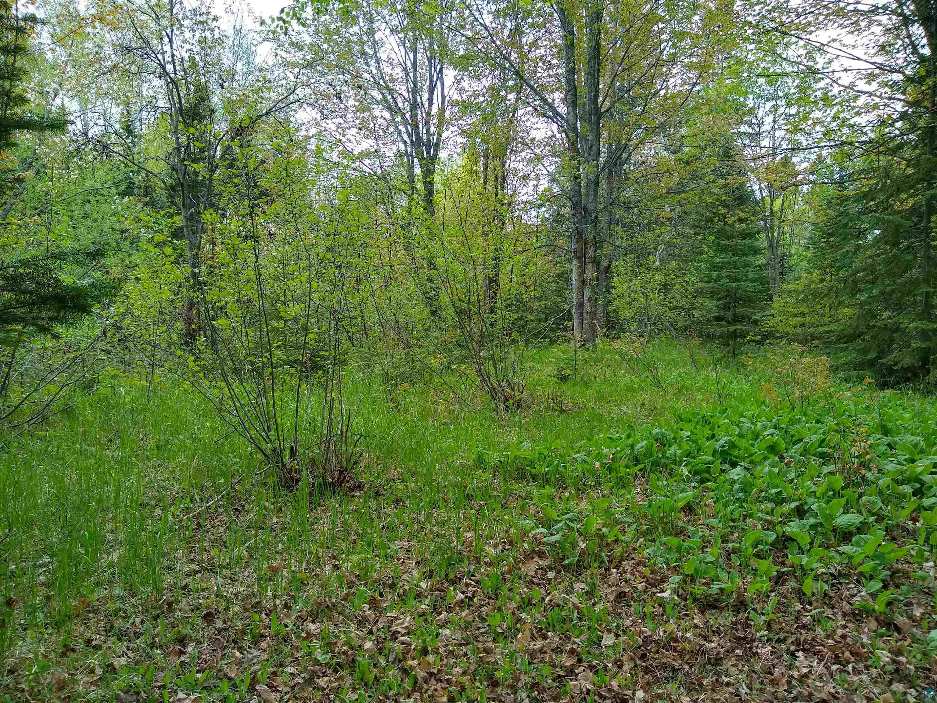 886-xx Bark Point Road Herbster, WI 54844 - Photo 9 of 24 Gallery Image 9