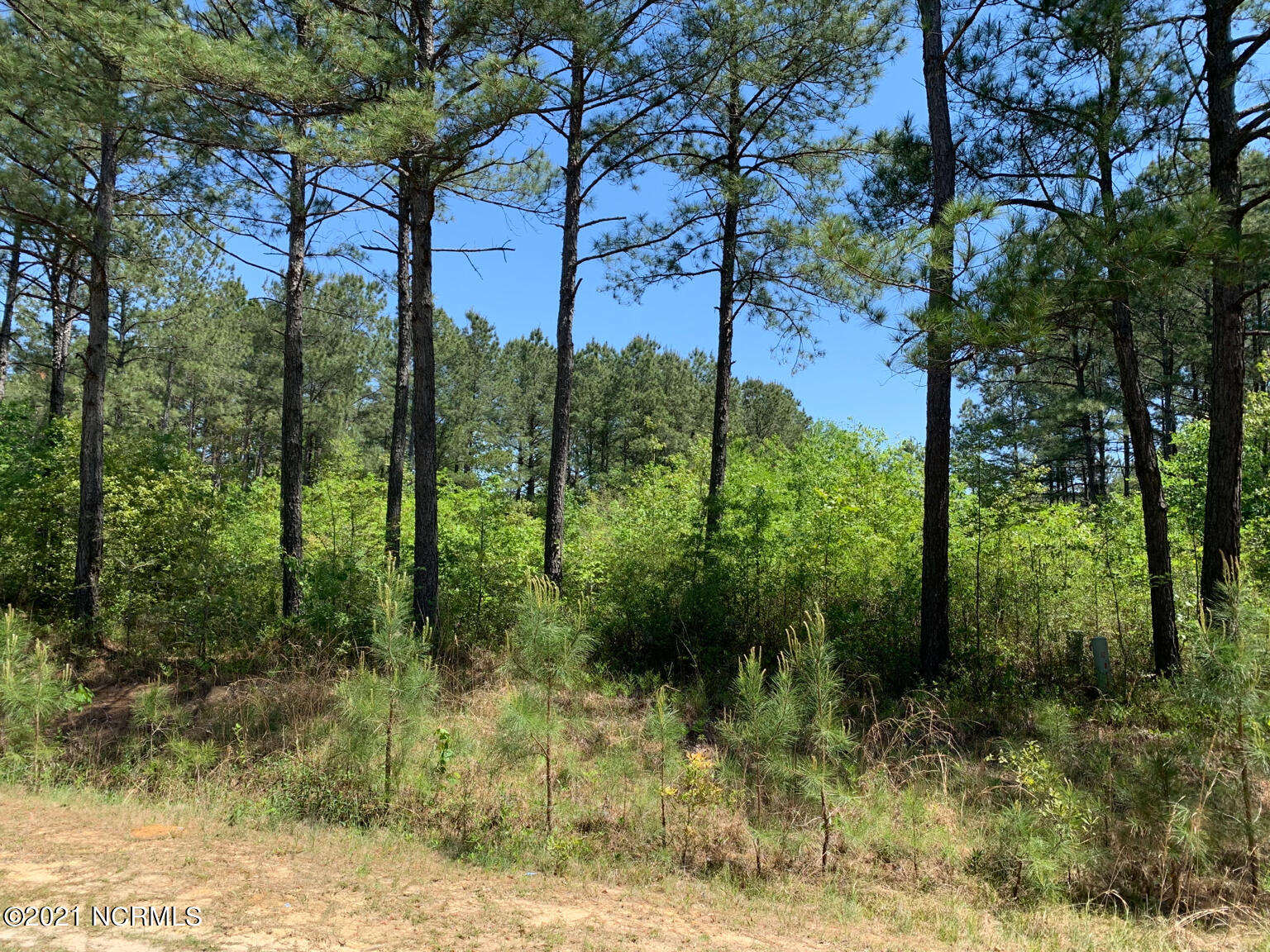 Lot 10 Myrtle Road Roseboro, NC 28382 - Photo 1 of 4 lot 10 pic 2