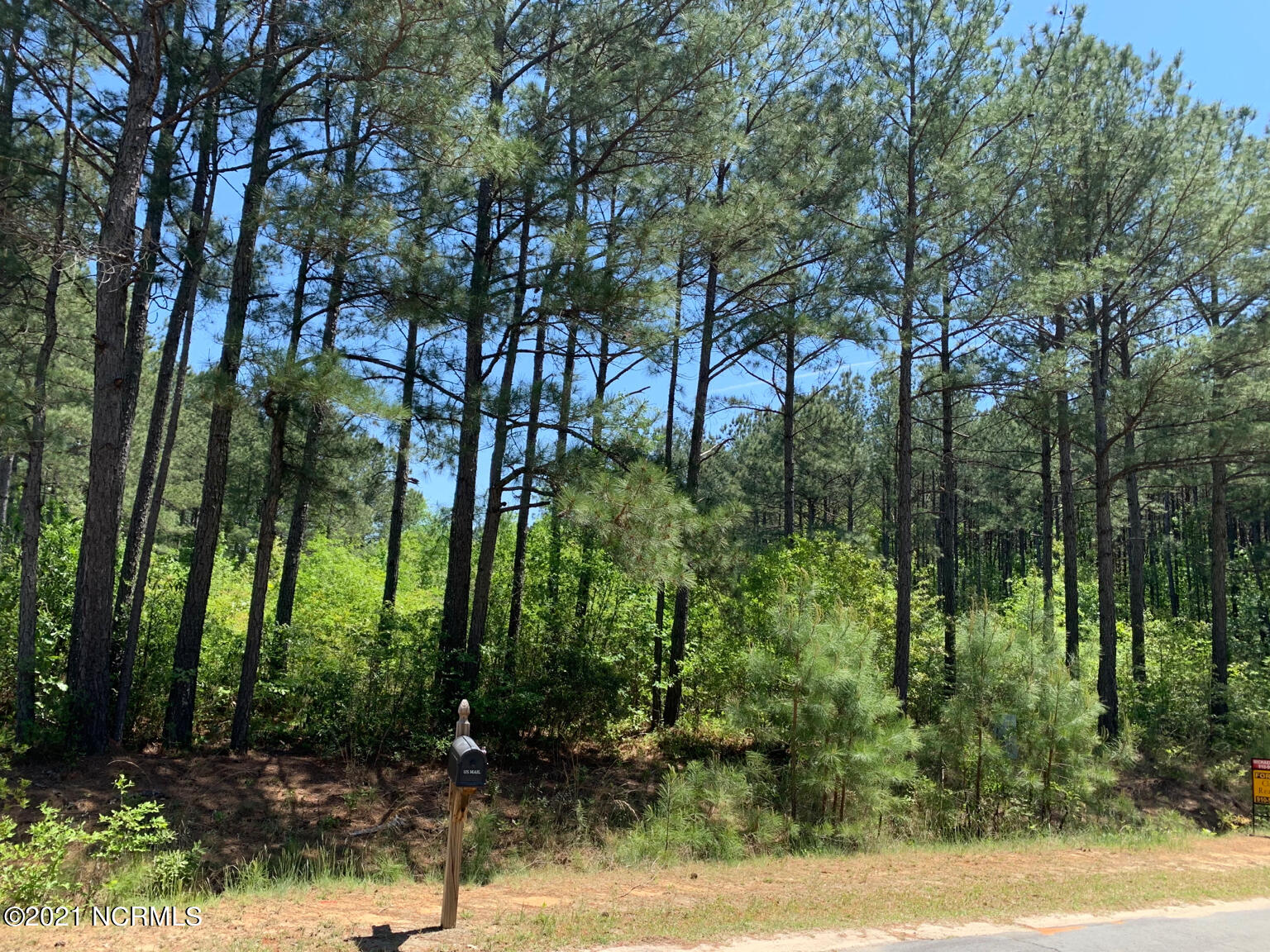 Lot 10 Myrtle Road Roseboro, NC 28382 - Photo 3 of 4 lot 10 pic 1