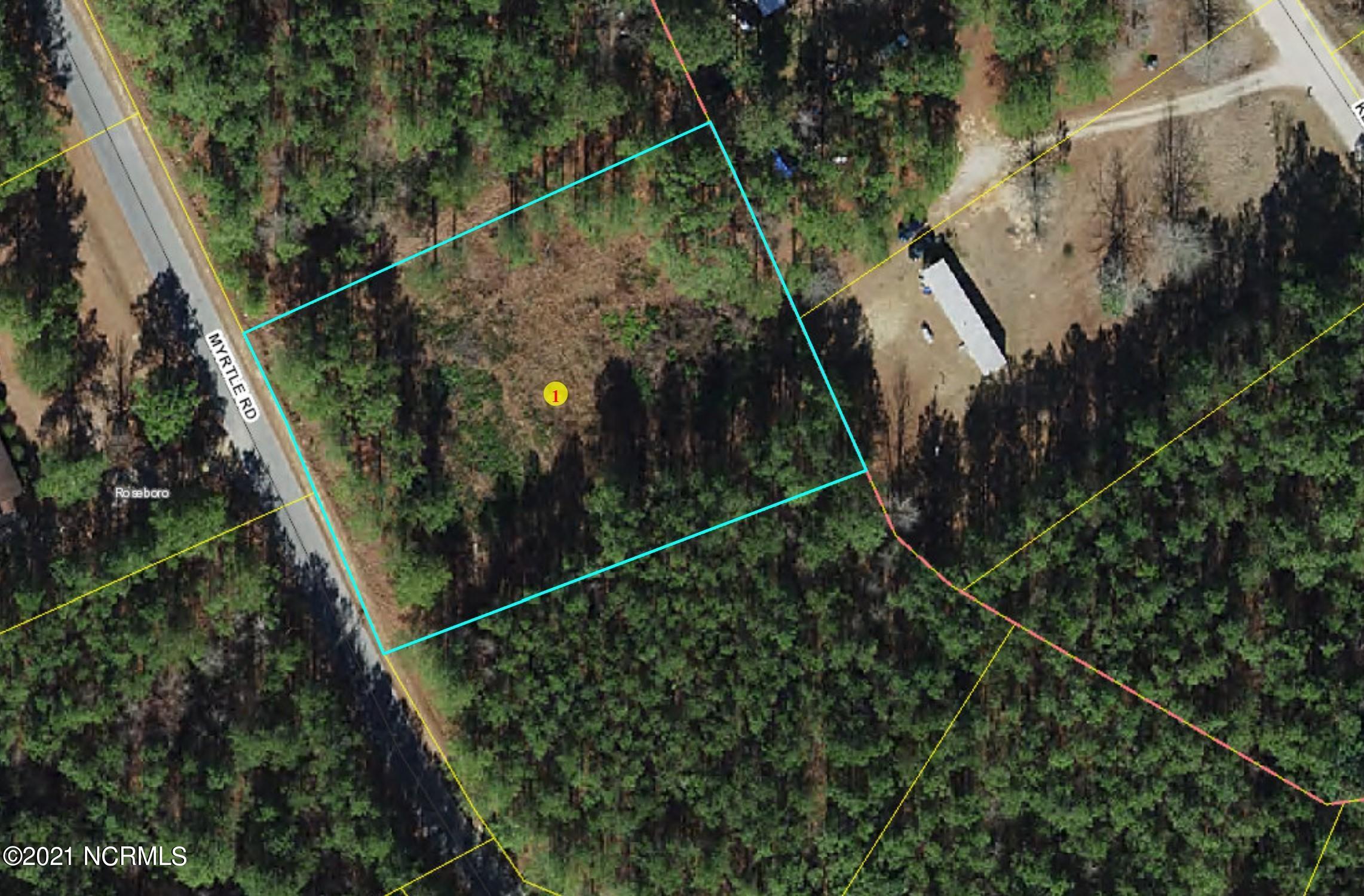 Lot 10 Myrtle Road Roseboro, NC 28382 - Photo 4 of 4 lot 10 gis