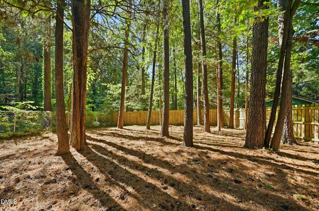 a view of a garden with plants