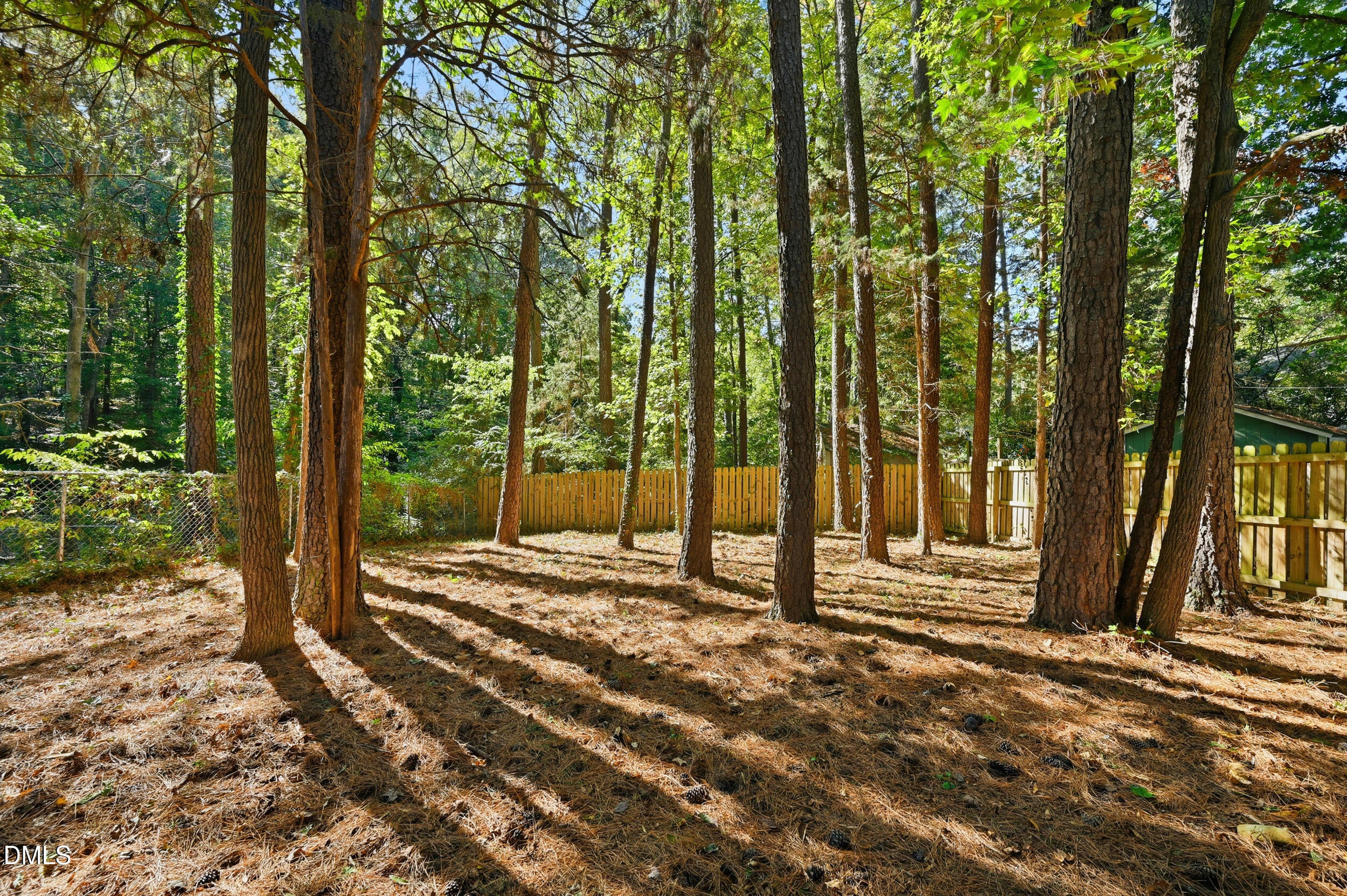 4 Little Spring Lane Durham, NC 27707 - Photo 29 of 34 a view of backyard with green space