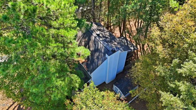 a view of a backyard with plants and large trees