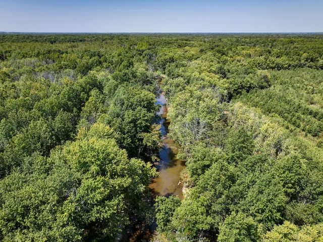 an aerial view of mountain with trees