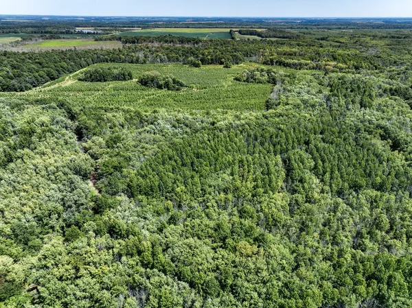 a view of a green field with lots of bushes