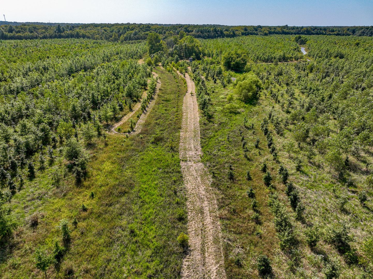 0 Mayflower Road Clay City, IL 62824 - Photo 18 of 48 a view of a green field with lots of bushes