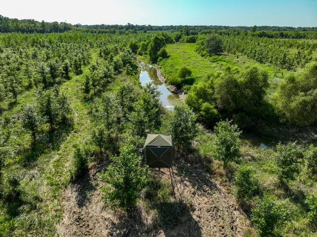a view of a lake with a garden