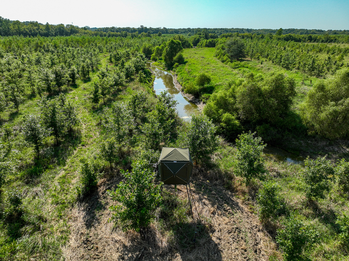 0 Mayflower Road Clay City, IL 62824 - Photo 23 of 48 a view of a lush green forest with lots of trees