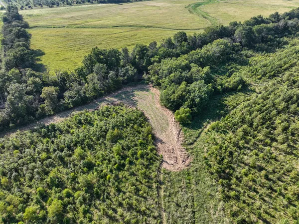 a view of a large yard with lots of green space