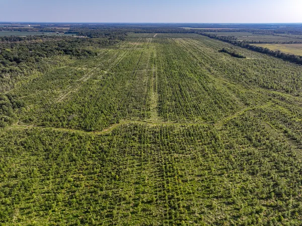 an aerial view of mountain with beach