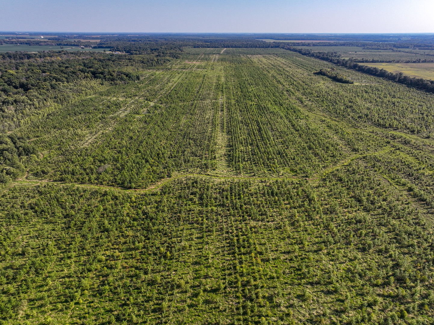 0 Mayflower Road Clay City, IL 62824 - Photo 26 of 48 a view of a field