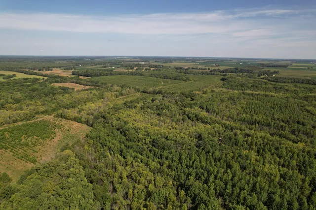 a plant that is in a garden