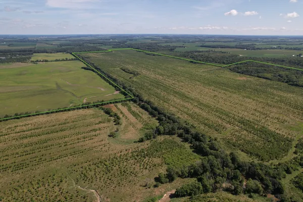 a view of a field with an ocean