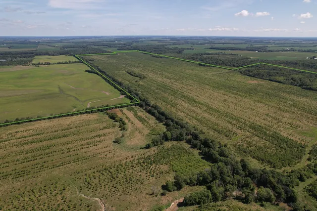 a view of a field with an ocean