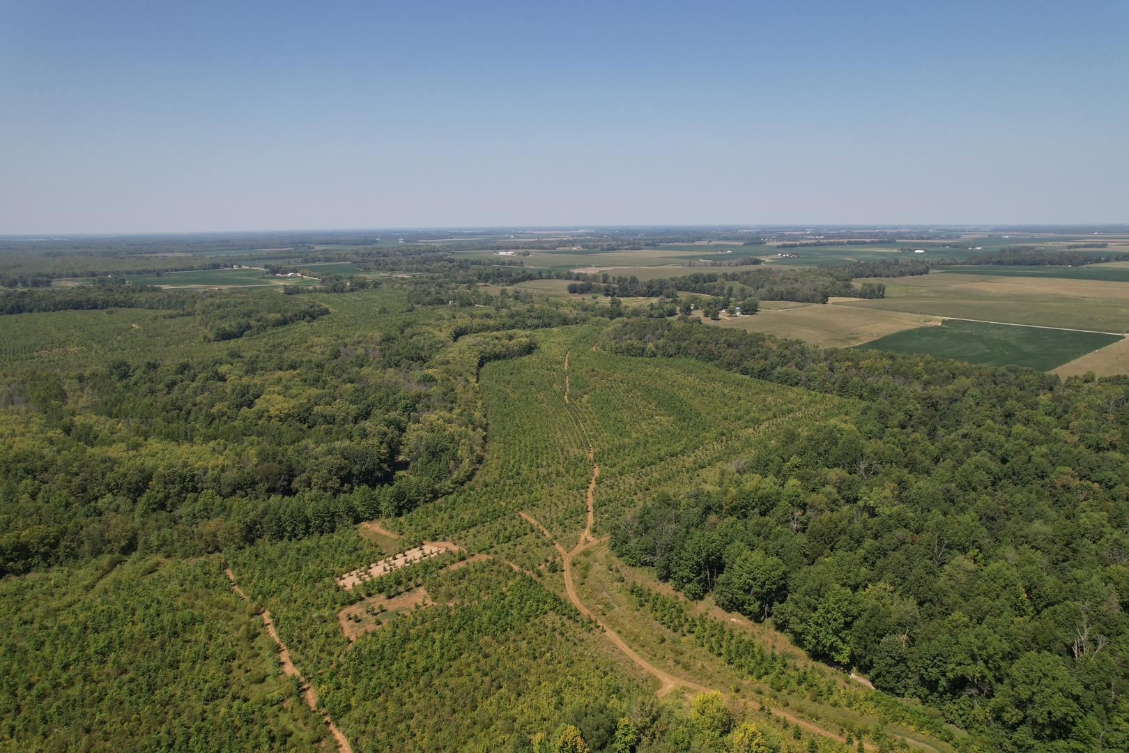 0 Mayflower Road Clay City, IL 62824 - Photo 31 of 48 a view of a field with an ocean view