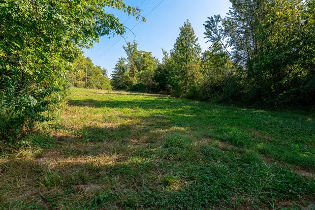 a backyard of a house with lots of green space