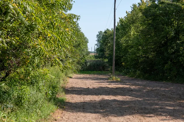 a view of a pathway both side of yard