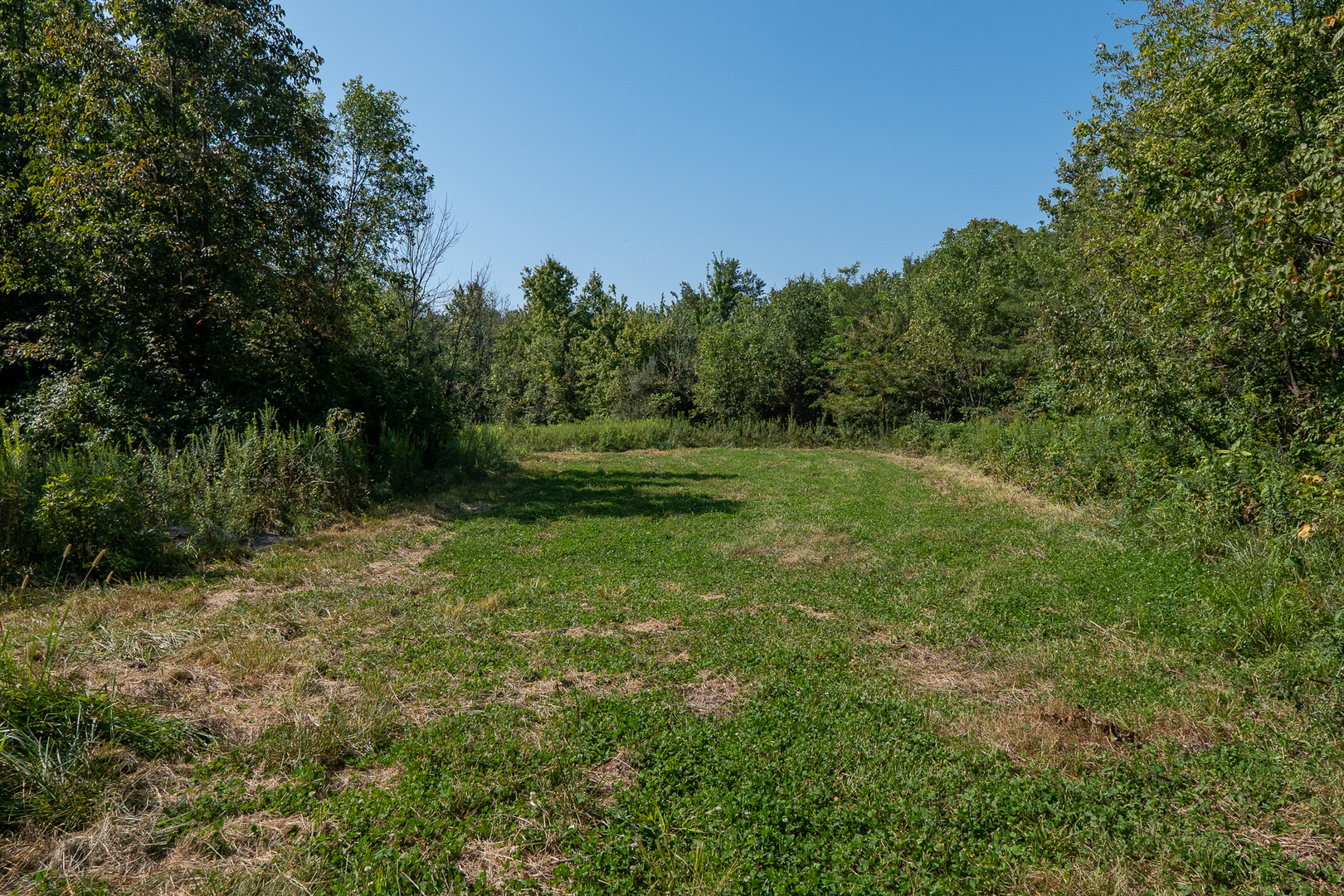 0 Mayflower Road Clay City, IL 62824 - Photo 37 of 48 a big yard with lots of green space and plants