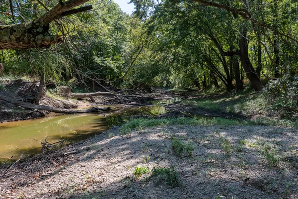 a view of a wooden floor and a yard