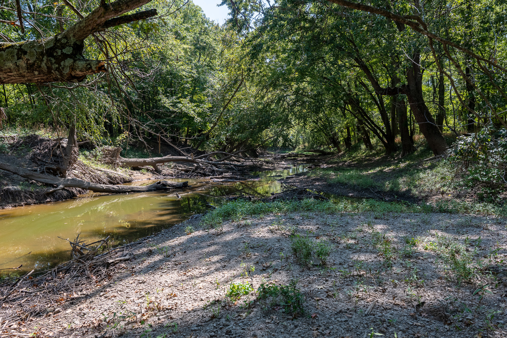 0 Mayflower Road Clay City, IL 62824 - Photo 40 of 48 a view of a swimming pool with lawn chairs under an umbrella