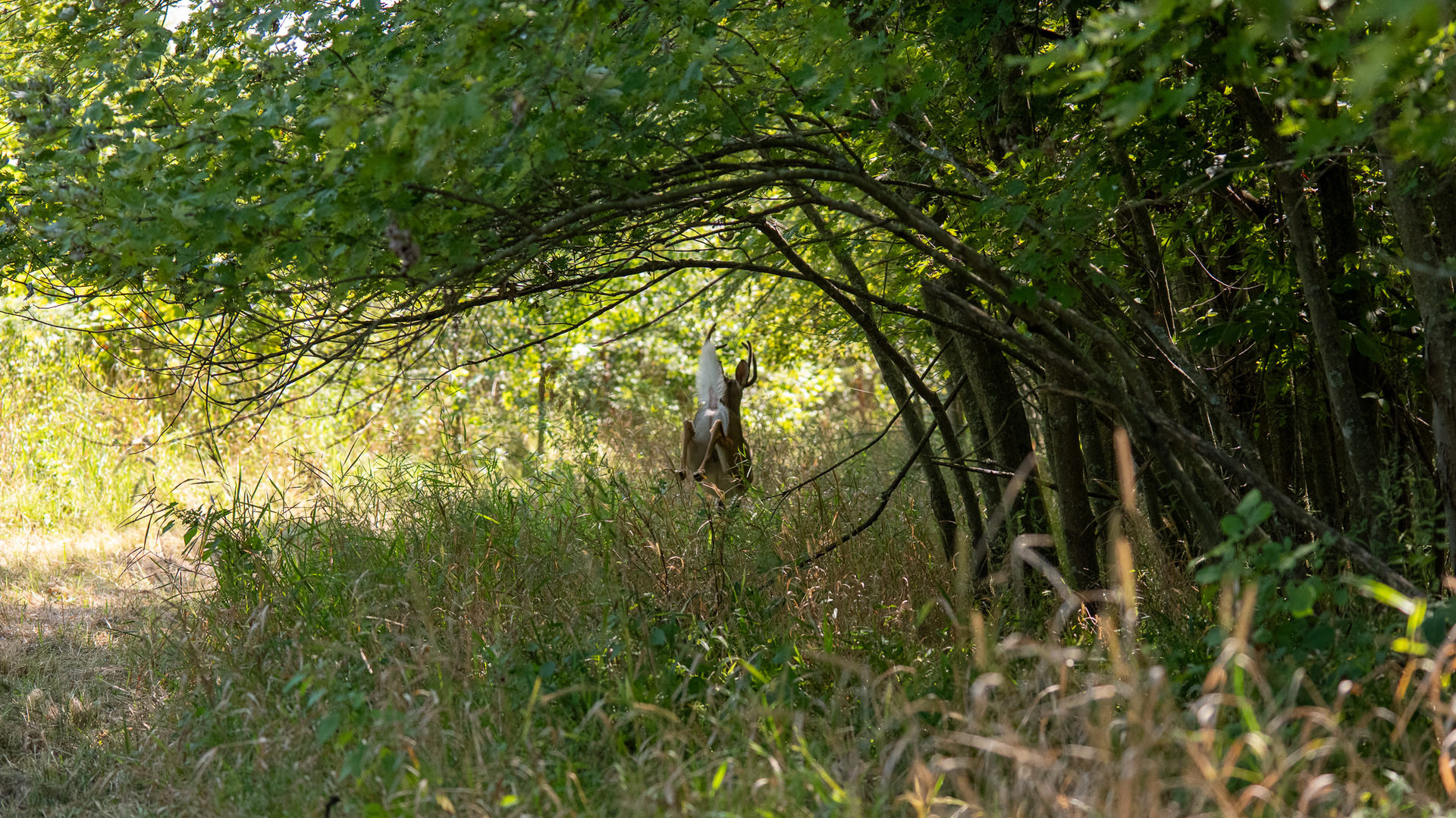0 Mayflower Road Clay City, IL 62824 - Photo 42 of 48