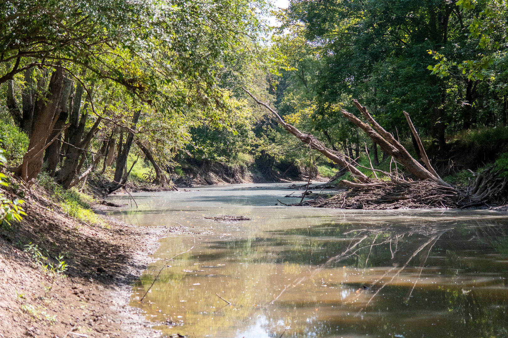 0 Mayflower Road Clay City, IL 62824 - Photo 44 of 48 a view of a wooden floor and a yard