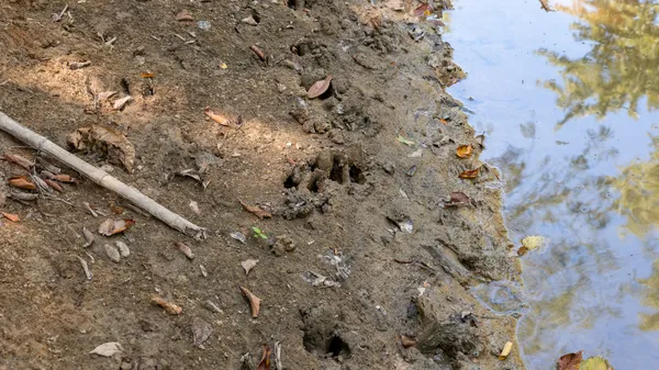 $10,600,000 | 0 Mayflower Road, Clay City, IL 62824