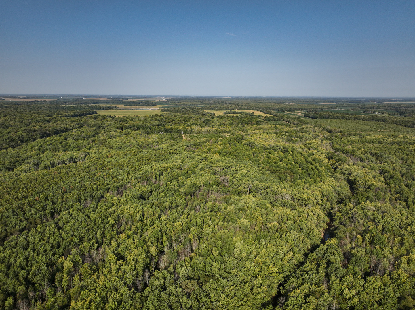 0 Mayflower Road Clay City, IL 62824 - Photo 5 of 48 a view of an ocean