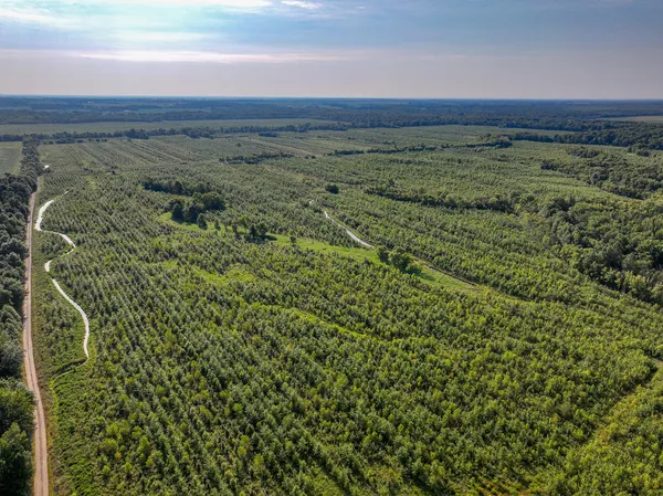 a view of a lake with a yard