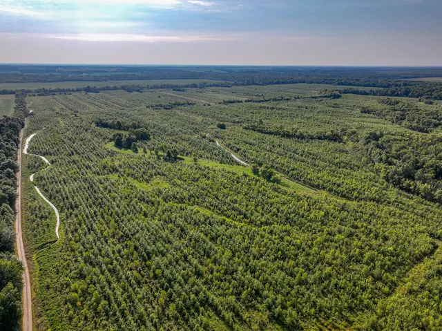 a view of a lake with a yard