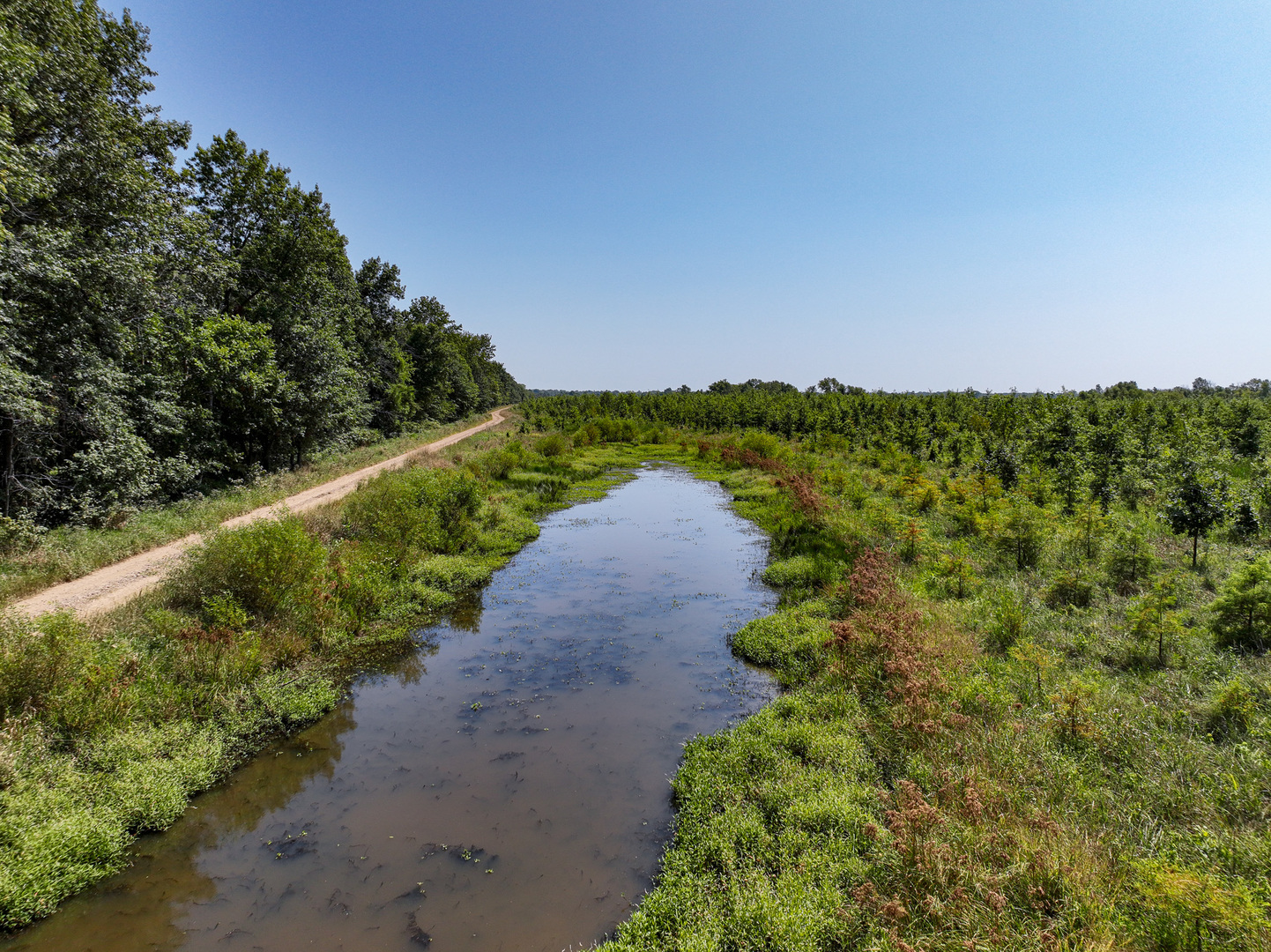0 Mayflower Road Clay City, IL 62824 - Photo 7 of 48 a view of a lake with a yard